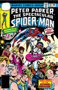 Peter Parker, The Spectacular Spider-Man #24 (1978)